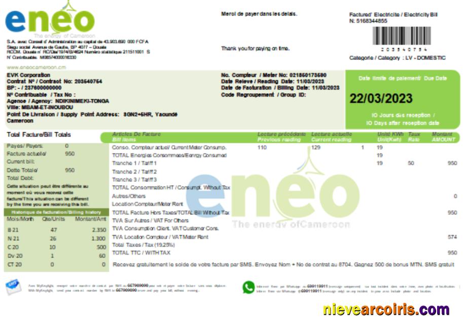 ENEO electricity utility business bill